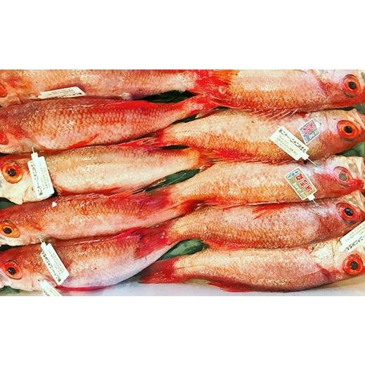 ふるさと納税 魚貝類 のどぐろ 島根県 浜田市 干さない干物極上のどぐろ Eセット 魚介類 魚貝類 干物 干もの 一夜干し 御中元 御歳暮 ギフト 新鮮 厳選 海鮮 …の画像