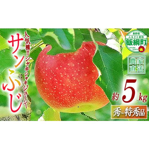 ふるさと納税 りんご 長野県 飯綱町 りんご サンふじ 秀 〜 特秀 5kg 永正の地蔵尊神谷農園 沖縄県への配送不可 2026年12月上旬頃から2027年2月上旬頃まで順次…
