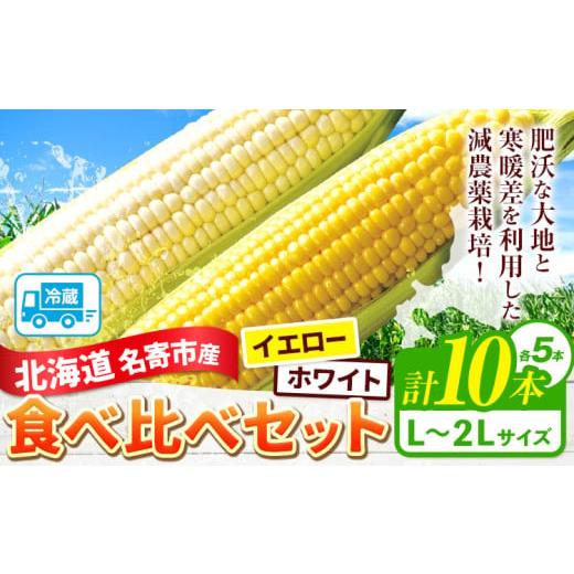 ふるさと納税 とうもろこし 北海道 名寄市 2026年出荷 北海道名寄産ホワイトコーン&スイートコーンイエロー食べ比べセット L〜2Lサイズ各5本計10本[2026年8…