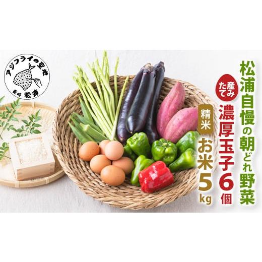 ふるさと納税 セット・詰合せ 長崎県 松浦市 道の駅松浦海のふるさと館『旬のお野菜＋産みたて濃厚玉子6個＋お米5kg』の大満足セット ( 産地直送 新鮮 米 卵 …_1