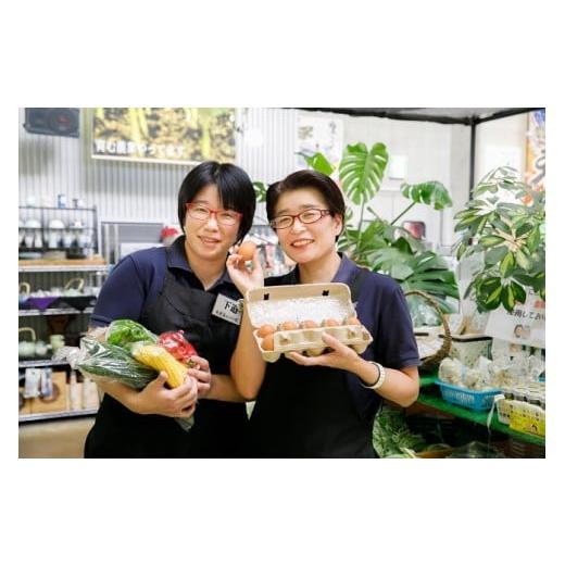 ふるさと納税 セット・詰合せ 長崎県 松浦市 道の駅松浦海のふるさと館『旬のお野菜＋産みたて濃厚玉子6個＋お米5kg』の大満足セット ( 産地直送 新鮮 米 卵 …_3