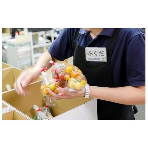 ふるさと納税 セット・詰合せ 長崎県 松浦市 道の駅松浦海のふるさと館『旬のお野菜＋産みたて濃厚玉子6個＋お米5kg』の大満足セット ( 産地直送 新鮮 米 卵 …_5