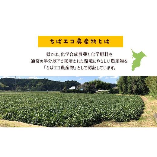 ふるさと納税 千葉県 長南町 【2024年9月発送】枝豆オーナー券　CNA003｜furusatochoice｜04