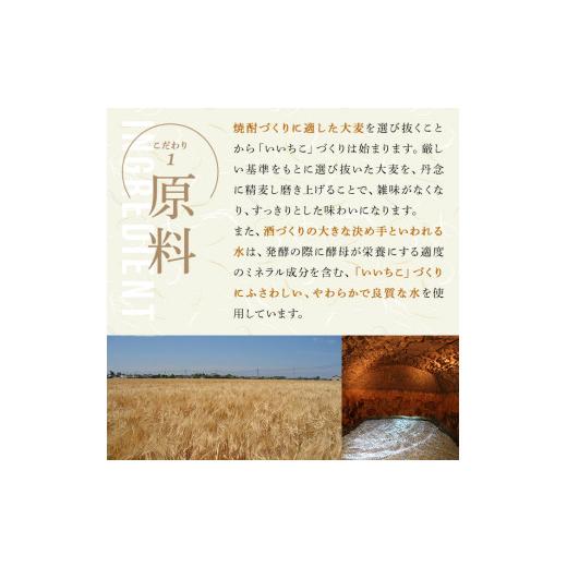 ふるさと納税 焼酎 麦 大分県 宇佐市 いいちこ 20度 ビン(計2.7L・900ml×3本)酒 お酒 むぎ焼酎 麦焼酎 いいちこ アルコール 飲料 常温 106101700 酒のひろた |  | 03