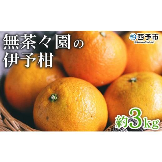 ふるさと納税 みかん・柑橘類 愛媛県 西予市 無茶々園の伊予柑 約3kg 果物 いよかん イヨカン みかん ミカン 蜜柑 柑橘 フルーツ 選べる内容量 期間限定 季節…