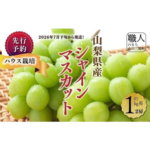 ふるさと納税 ぶどう マスカット 山梨県 市川三郷町 ハウス栽培で旬の味を一足早くお届け 2026年7月下旬から発送 山梨県産シャインマスカット1kg(2房程度…