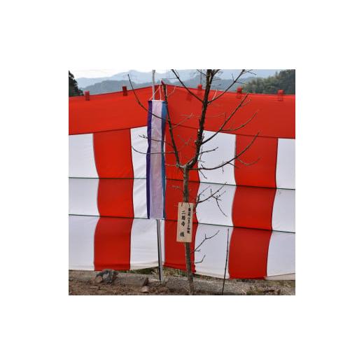 ふるさと納税 認定書・会員証 佐賀県 基山町 ひとつばたごの木 30年オーナー権 オーナー ひとつばたごの木 なんじゃもんじゃの木 白い花 植樹 花見 K069003