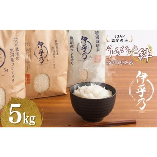 ふるさと納税 米 コシヒカリ 新潟県 小千谷市 JGAP認証農場 令和7年産 魚沼産コシヒカリ 特別栽培米「伊乎乃」 精米5kg うちがまき絆 | 新潟県産 コシヒカリ …