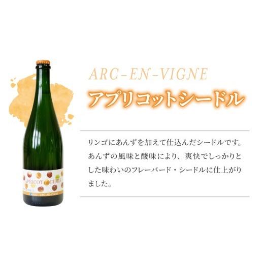 ふるさと納税 ワイン スパークリングワイン 長野県 東御市 シードル 3種セット( シードル ・ゆずシードル・アプリコット シードル) ｜ アルカンヴィーニュ 日…_2