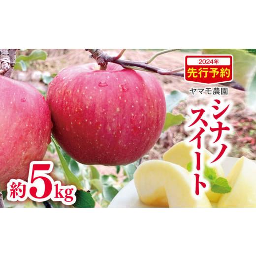 ふるさと納税 りんご 長野県 松川村 2026年先行予約 訳あり シナノスイート約5kg | ヤマモ農園 果物 フルーツ 果実 訳あり りんご 林檎 リンゴ シナノスイー…