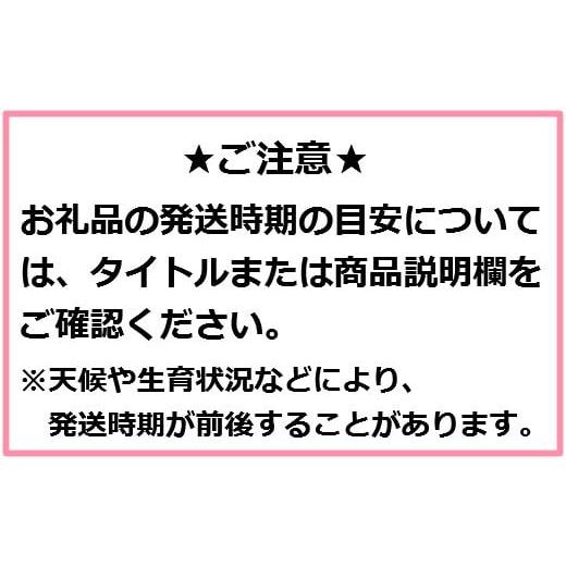 ふるさと納税 青森県 三戸町 りんご【サンふじ】14〜20玉（約5kg）【2024年産・先行予約】｜furusatochoice｜05