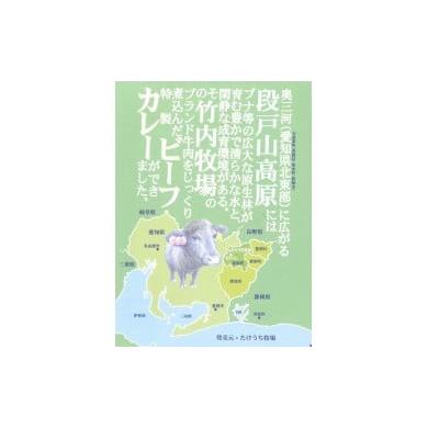 ふるさと納税 惣菜・レトルト 愛知県 設楽町 お肉ごろっと入った たけうち牧場のビーフカレー カレー 中辛 ブランド牛カレー レトルトカレー スパイス 段戸牛…