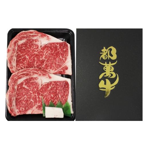 ふるさと納税 牛肉 ステーキ 宮崎県 西都市 都萬牛 黒毛和牛ロースステーキ 牛肉 ステーキ 牛肉 自社ブランド 2-26 6-8a 決済完了より30日以内の発送