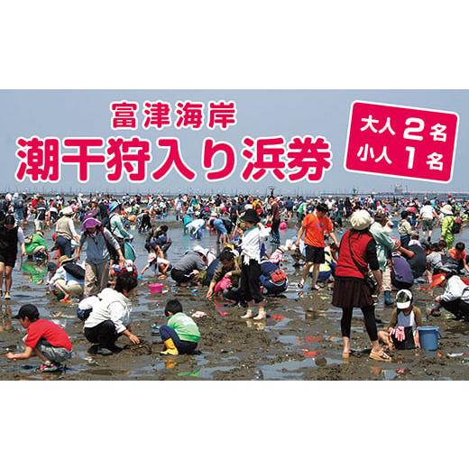 ふるさと納税 入場券・優待券 千葉県 富津市 富津海岸 潮干狩入り浜券(大人2枚・小人1枚・網袋付) 潮干狩り チケット 券 3人 富津海岸 海 網袋付 あさり ア…