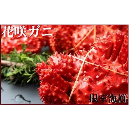 ふるさと納税 カニ 花咲ガニ 北海道 根室市 B-57003 北海道根室産 花咲ガニ510〜600g×4尾