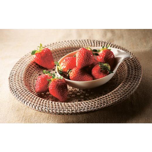 弥左衛門作 有田焼 某泉窯 竹雀文 花瓶 公式】賞美堂本店オンライン