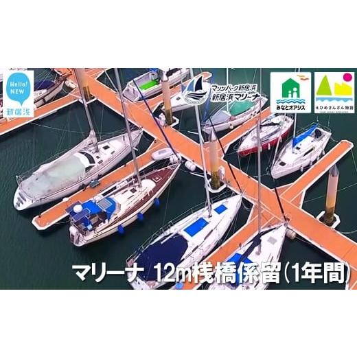 ふるさと納税 愛媛県 新居浜市 新居浜マリーナ 12m桟橋係留権 (一年間)