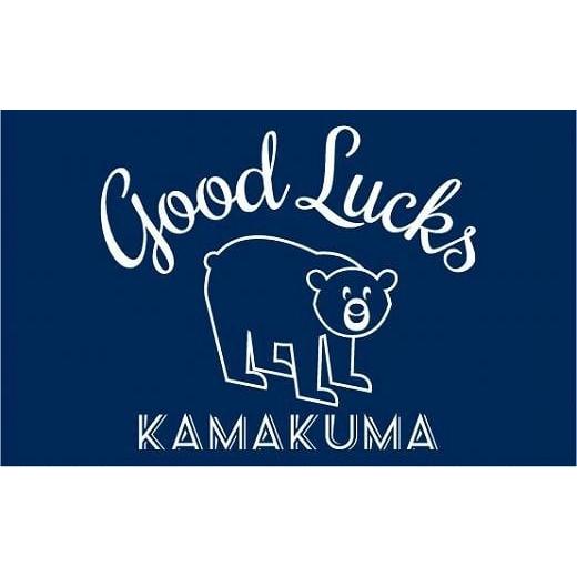 ふるさと納税 服 神奈川県 鎌倉市 ネイビー・Lサイズ 鎌倉の人気キャラクター「カマクマ」のTシャツとTOTEバッグ Lサイズ