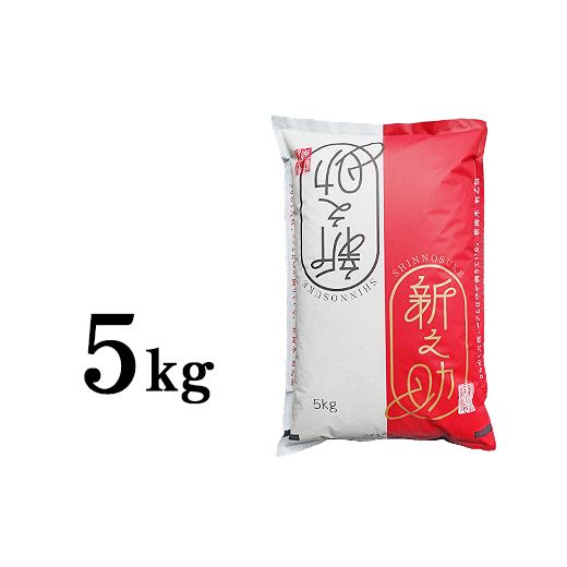 ふるさと納税 米 新潟県 長岡市 48-7S051A新潟県長岡産「新之助」5kg