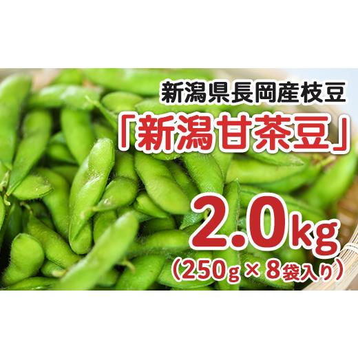 ふるさと納税 新潟県 長岡市 75E-10新潟県長岡産枝豆2.0kg【新潟甘茶豆250g×8袋入り】｜furusatochoice｜02