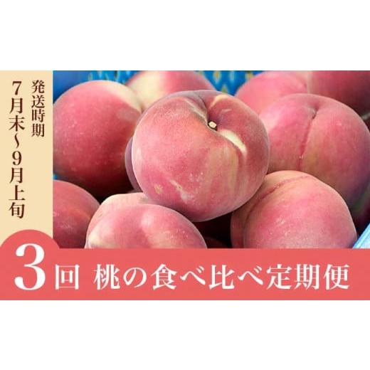 ふるさと納税 もも 長野県 小布施町 3回定期便 小布施屋の 桃食べ比べ定期便 約1.8kg×3回 [小布施屋] 桃 もも モモ フルーツ 果物 冷蔵便 クール便 長野県…