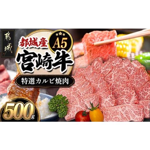 ふるさと納税 牛肉 バラ(カルビ) 宮崎県 都城市 宮崎牛特選カルビ焼肉(A5) (都城市) 牛肉 A5等級の宮崎牛 特選カルビ焼肉 (500g) A5ランク 最高級の…