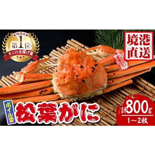 ふるさと納税 カニ 松葉ガニ 鳥取県 境港市 松葉がに ボイル姿(1〜2枚・計800g) sm-AK003 大漁市場なかうら 1〜2枚(計800g)