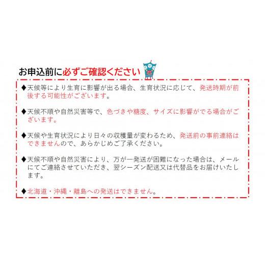 ふるさと納税 香川県 三木町 865　特大シャインマスカット　1房｜furusatochoice｜06