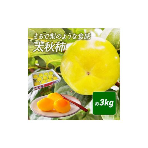 ふるさと納税 果物類 柿 香川県 綾川町   まるで梨のような食感 太秋柿(たいしゅうがき) 果物類 先行予約