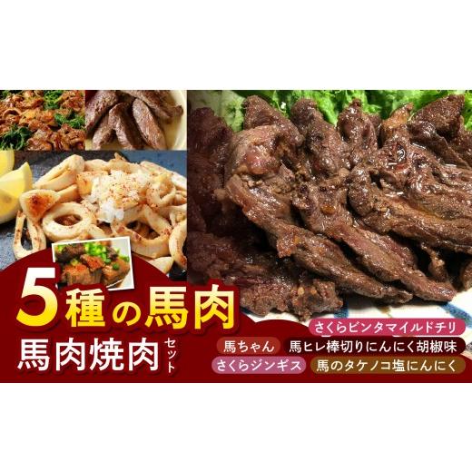 ふるさと納税 馬肉 長野県 天龍村 馬肉焼肉セット | ジビエ 信州 馬肉 猪肉 鹿肉 ジンギス ジビエの聖地 遠山ジンギス 肉 里山 長野県 南信州 天龍村