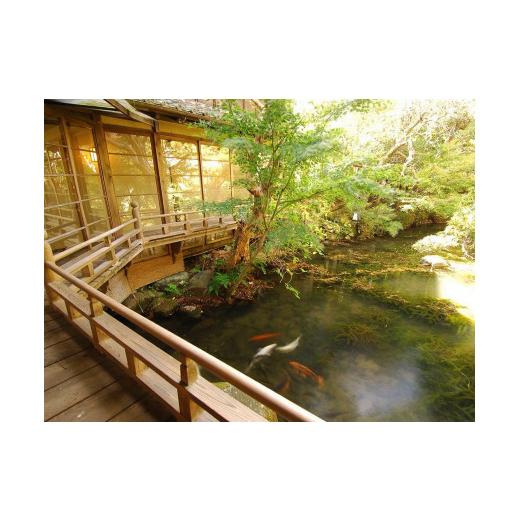 ブランド ふるさと納税 静岡県 伊豆市 静岡 伊豆 修善寺温泉 湯回廊 菊屋 平日 宿泊券 2名様 1室 （中庭眺望の和室・1泊2食 付）【静岡県 伊豆市 温泉 温泉宿 宿泊券 宿… 【IQY3123331042】(110000円)