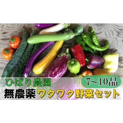 ふるさと納税 岩手県 花巻市 ひばり農園の無農薬ワクワク野菜セット [289]