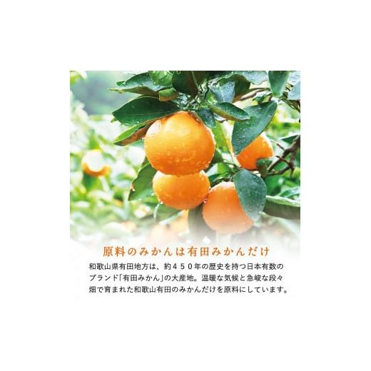 ふるさと納税 果汁飲料 みかん 和歌山県 有田市  早和果樹園 おふくろスムージー有田みかん12本入 飲むタイプのみかんゼリー(A622-2)