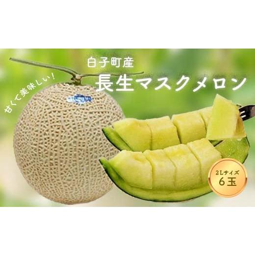 ふるさと納税 メロン メロン青肉 千葉県 白子町 数量限定 甘くて美味しい 長生マスクメロン6玉(2L) ふるさと納税 メロン マスクメロン 長生マスクメロン …