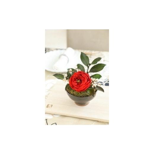 ふるさと納税 雑貨・日用品 花 徳島県 鳴門市 プリザーブドフラワー 花椿(紅色) 紅色