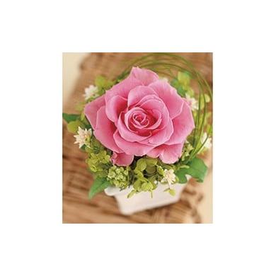 ふるさと納税 雑貨・日用品 花 徳島県 鳴門市 プリザーブドフラワー プチローズ(ソーダブルー) ソーダブルー