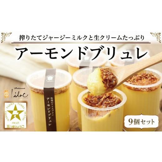ふるさと納税 菓子 アイス 兵庫県 朝来市 ジャージーミルクたっぷり アーモンドブリュレ9個 ジャージー牧場 らいらっく 自家牧場 ジャージー牛 牛乳 ミルク ア…
