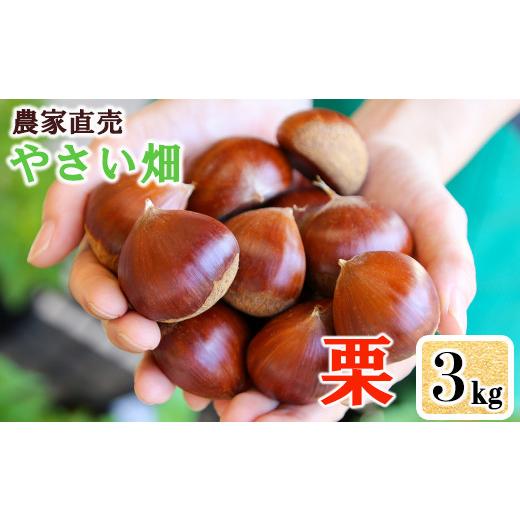 ふるさと納税 果物類 栗 熊本県 南関町 やさい畑の美味しい栗 3kg [9月下旬-10月上旬頃出荷]