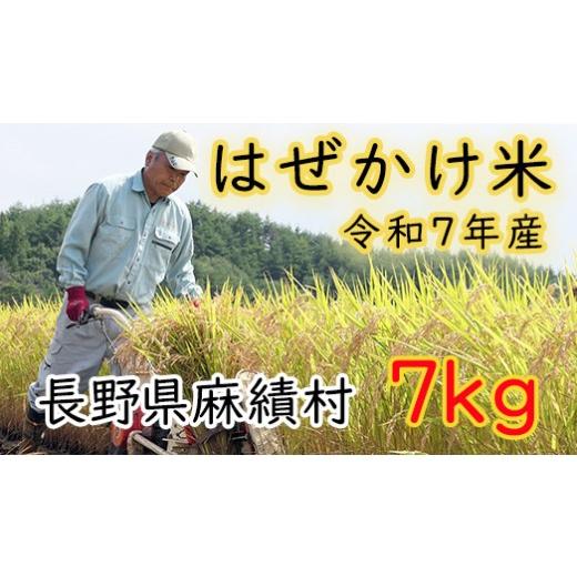 ふるさと納税 米 コシヒカリ 長野県 麻績村 信州麻績産 はぜかけ米 数量限定 期間限定 7kg 自然乾燥 コシヒカリ 5kg +2kg 長野県 信州 麻績村 麻績