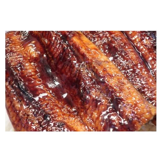 ふるさと納税 旬の鮮魚等 高知県 安田町  カツオ ＆ うなぎ の高知の名産セット カツオのたたき 国産うなぎ蒲焼き 半年定期便 6ヶ月 定期便 藁焼き タタキ か…_3