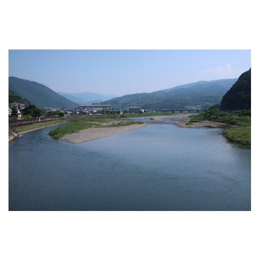ふるさと納税 旬の鮮魚等 高知県 安田町  カツオ ＆ うなぎ の高知の名産セット カツオのたたき 国産うなぎ蒲焼き 半年定期便 6ヶ月 定期便 藁焼き タタキ か…_4