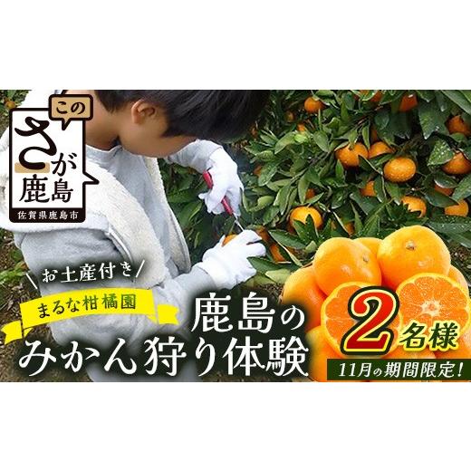 ふるさと納税 体験チケット 佐賀県 鹿島市 A-57 鹿島のみかん狩り体験 お土産付き 2名様 ＼11月のみの期間限定 /