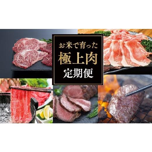 ふるさと納税 牛肉 ステーキ 大分県 豊後高田市 5ヶ月定期便 お米で育った肉のバラエティ 食べ比べ定期便
