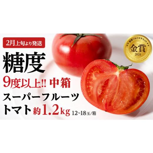 ふるさと納税 茨城県 桜川市 [2024年2月上旬発送開始]スーパーフルーツトマト 中箱 約1.2kg × 1箱 (12〜18玉/1箱) 糖度9度以上 フルーツトマト トマト …