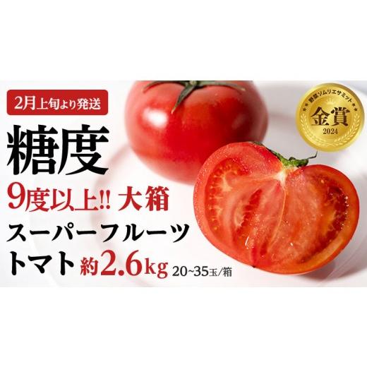 ふるさと納税 野菜類 トマト 茨城県 桜川市 [ 2027年 収穫分 ]2〜6月配送 スーパーフルーツトマト 大箱 約2.6kg × 1箱 (20〜35玉/1箱) 糖度9度以上 先行予…