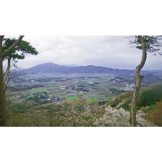 民芸品・工芸品 茨城県 桜川市 山桜 （花のかほり） 石 ストーン 雑貨 職人 伝統工芸 伝統工芸品 置き物 飾り 玄関 おしゃれ 茨城県 桜川市 贈り… 【製紙】