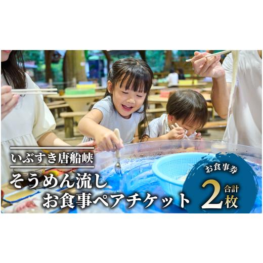 ふるさと納税 お食事券 鹿児島県 指宿市 いぶすき唐船峡 そうめん流しお食事ペアチケット(指宿市営唐船峡そうめん流し/IB050-001) 食事券 ランチ 旅 旅行 ド…