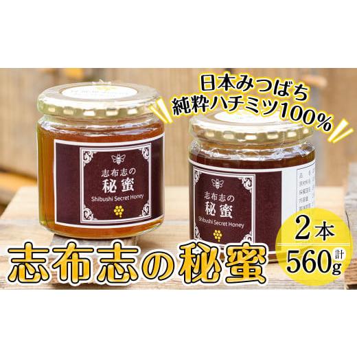 ふるさと納税 加工品等 はちみつ 鹿児島県 志布志市 b2-003 日本みつばちの純粋蜂蜜 志布志の秘蜜 計560g(280g×2本)の画像