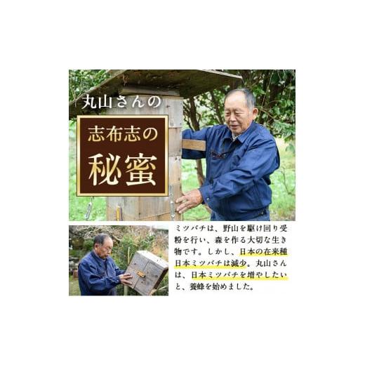 ふるさと納税 加工品等 はちみつ 鹿児島県 志布志市 b2-003 日本みつばちの純粋蜂蜜 志布志の秘蜜 計560g(280g×2本)の画像