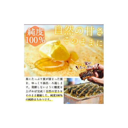 ふるさと納税 加工品等 はちみつ 鹿児島県 志布志市 b2-003 日本みつばちの純粋蜂蜜 志布志の秘蜜 計560g(280g×2本)の画像